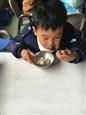 人气：430  上传时间：2017/2/24 14:26:46