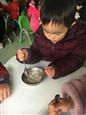 人气：412  上传时间：2017/2/24 14:26:48