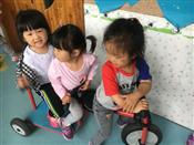 人气：367  上传时间：2017/5/12 15:59:33
