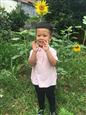 人气：430  上传时间：2017/6/16 10:49:11
