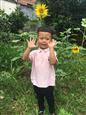 人气：427  上传时间：2017/6/16 10:49:12