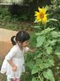 人气：408  上传时间：2017/6/16 10:49:17