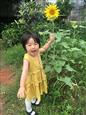 人气：372  上传时间：2017/6/16 10:49:18