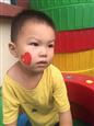 人气：269  上传时间：2017/10/8 14:31:45