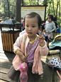 人气：303  上传时间：2017/11/3 14:18:24