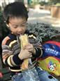 人气：301  上传时间：2017/11/3 15:31:24