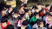 人气：305  上传时间：2017/11/10 15:22:58
