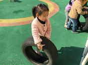 人气：302  上传时间：2017/12/5 7:49:31