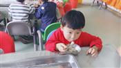 人气：309  上传时间：2018/4/27 16:14:24