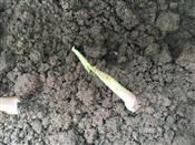 人气：311  上传时间：2018/5/7 7:49:32