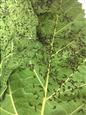 人气：290  上传时间：2018/5/7 7:49:34