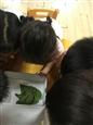 人气：295  上传时间：2018/5/7 7:49:36