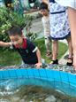 人气：328  上传时间：2018/6/27 8:56:41