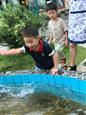 人气：262  上传时间：2018/6/27 8:56:42