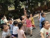 人气：564  上传时间：2018/9/14 10:45:56