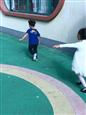 人气：261  上传时间：2018/9/30 13:31:46