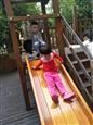 人气：547  上传时间：2018/10/9 17:11:46