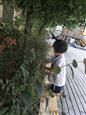 人气：532  上传时间：2018/10/11 14:19:03