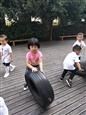 人气：505  上传时间：2018/10/11 14:19:38
