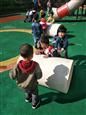 人气：558  上传时间：2018/10/11 14:22:06