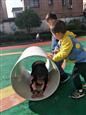人气：524  上传时间：2018/10/11 14:22:15