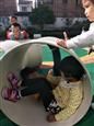 人气：587  上传时间：2018/10/11 14:22:26