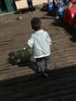 人气：676  上传时间：2018/10/11 17:25:58