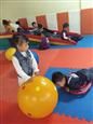 人气：564  上传时间：2018/10/11 9:06:28