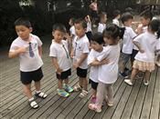 人气：504  上传时间：2018/10/11 11:10:44