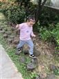 人气：517  上传时间：2018/10/11 11:12:54