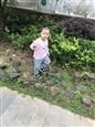 人气：530  上传时间：2018/10/11 11:12:55