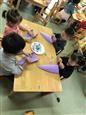 人气：459  上传时间：2018/10/11 11:13:22