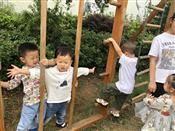 人气：508  上传时间：2018/10/15 10:44:34