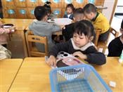 人气：543  上传时间：2018/10/17 15:25:21