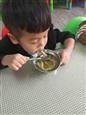 人气：615  上传时间：2018/10/19 17:31:50