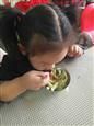 人气：575  上传时间：2018/10/19 17:31:53