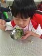 人气：578  上传时间：2018/10/19 17:32:04