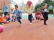 人气：566  上传时间：2018/10/19 8:06:33