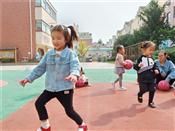 人气：535  上传时间：2018/10/19 8:06:35