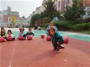人气：587  上传时间：2018/10/19 8:06:36