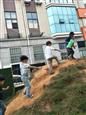 人气：557  上传时间：2018/10/19 12:34:50