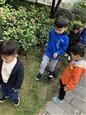 人气：524  上传时间：2018/10/22 13:21:09