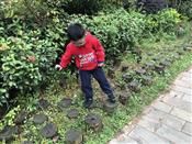 人气：515  上传时间：2018/10/22 13:21:11