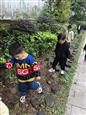 人气：521  上传时间：2018/10/22 13:21:13