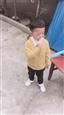 人气：564  上传时间：2018/10/22 8:06:41