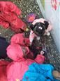 人气：518  上传时间：2018/10/23 13:46:17