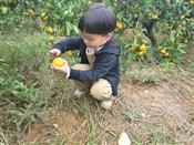 人气：519  上传时间：2018/10/23 14:03:07