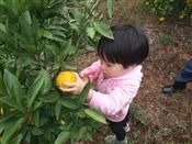 人气：549  上传时间：2018/10/23 14:03:24