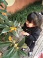 人气：540  上传时间：2018/10/23 14:06:07