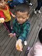 人气：558  上传时间：2018/10/23 14:06:16